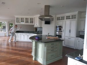 Procoat Interior House Painting