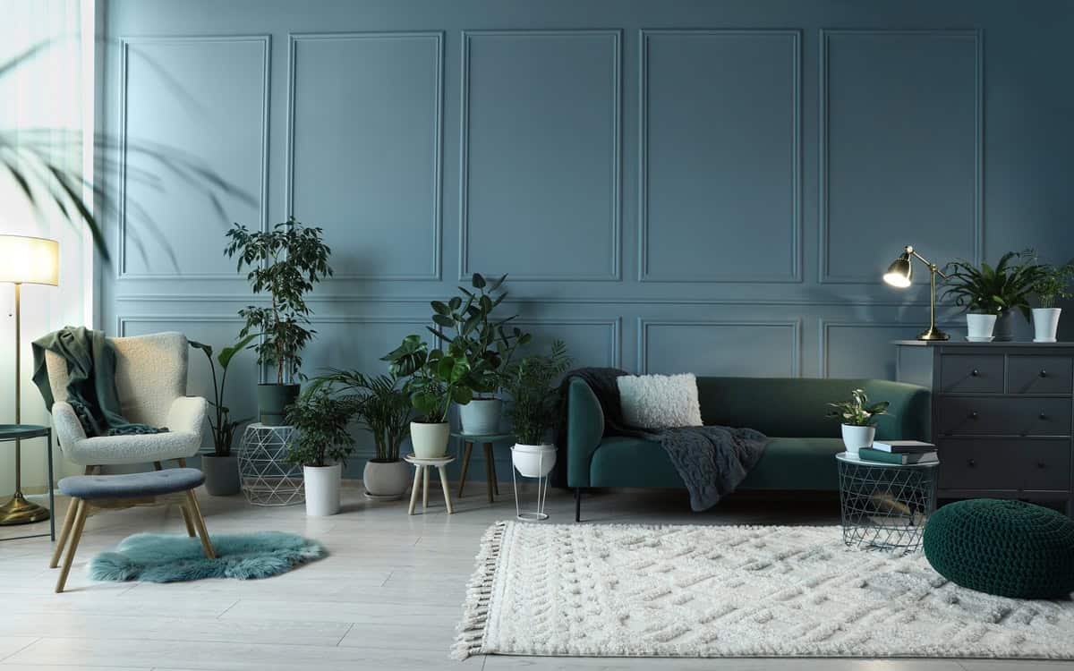 Many potted houseplants and stylish furniture near light blue wall in beautiful room